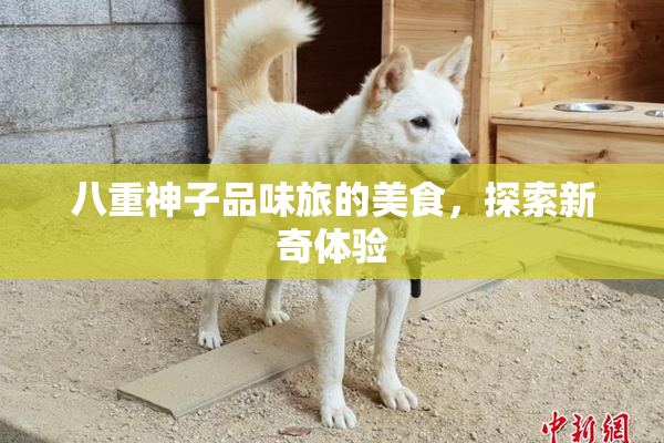 八重神子品味旅的美食，探索新奇体验
