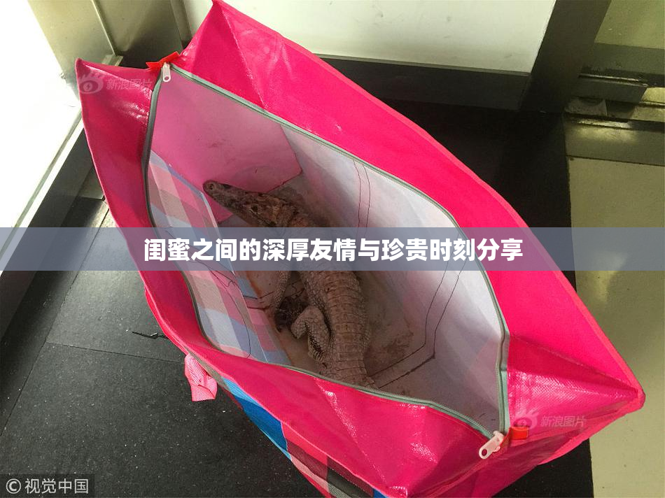 闺蜜之间的深厚友情与珍贵时刻分享