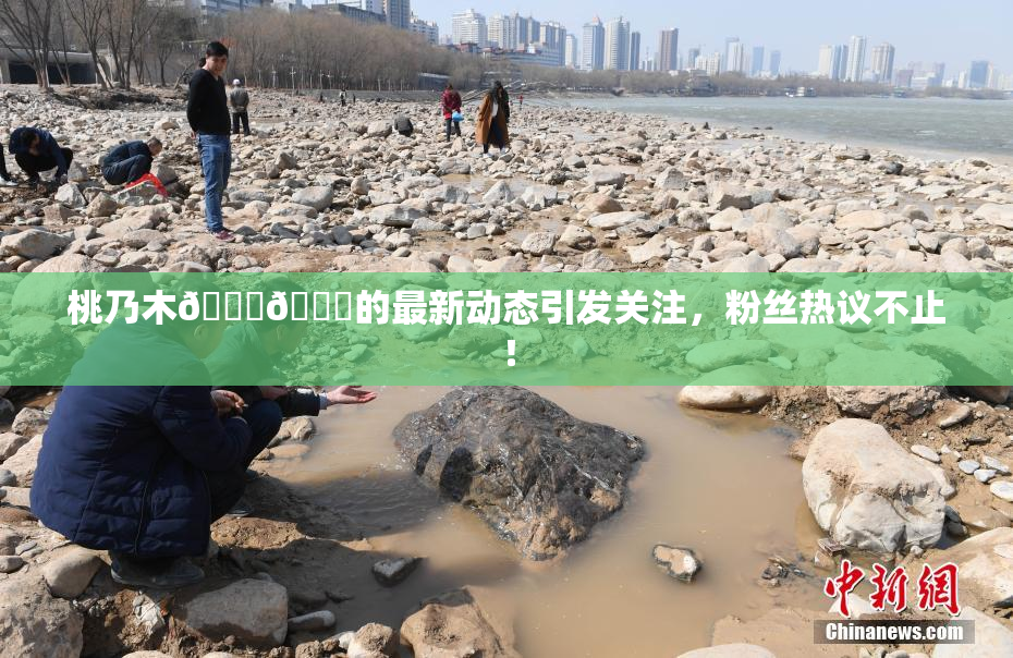 桃乃木💋🍑的最新动态引发关注，粉丝热议不止！