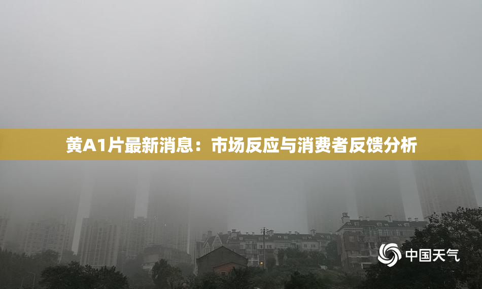 黄A1片最新消息：市场反应与消费者反馈分析