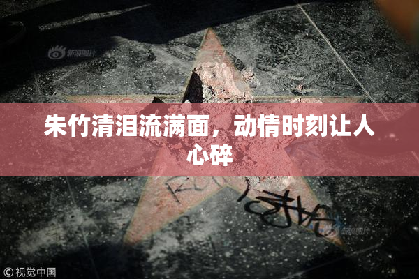 朱竹清泪流满面，动情时刻让人心碎