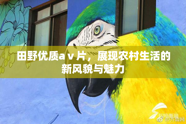 田野优质aⅴ片，展现农村生活的新风貌与魅力