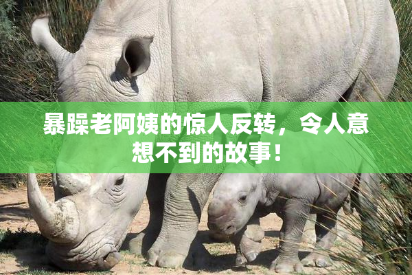 暴躁老阿姨的惊人反转，令人意想不到的故事！