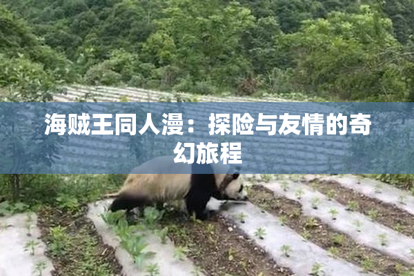 海贼王同人漫：探险与友情的奇幻旅程
