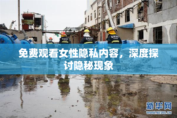 免费观看女性隐私内容，深度探讨隐秘现象