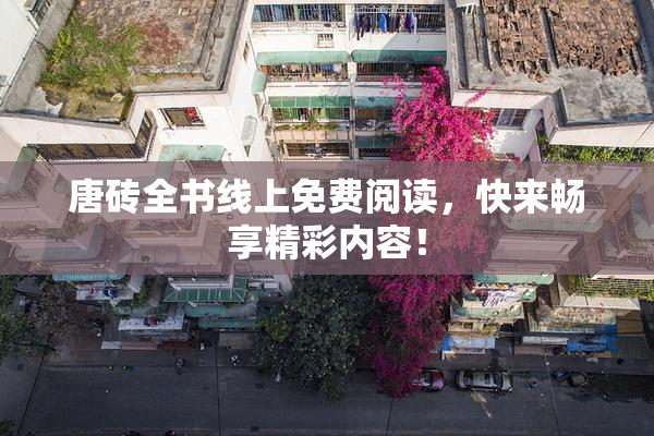 唐砖全书线上免费阅读，快来畅享精彩内容！