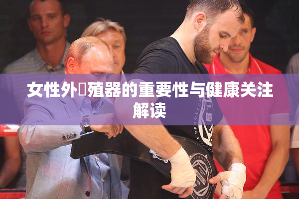 女性外夝殖器的重要性与健康关注解读