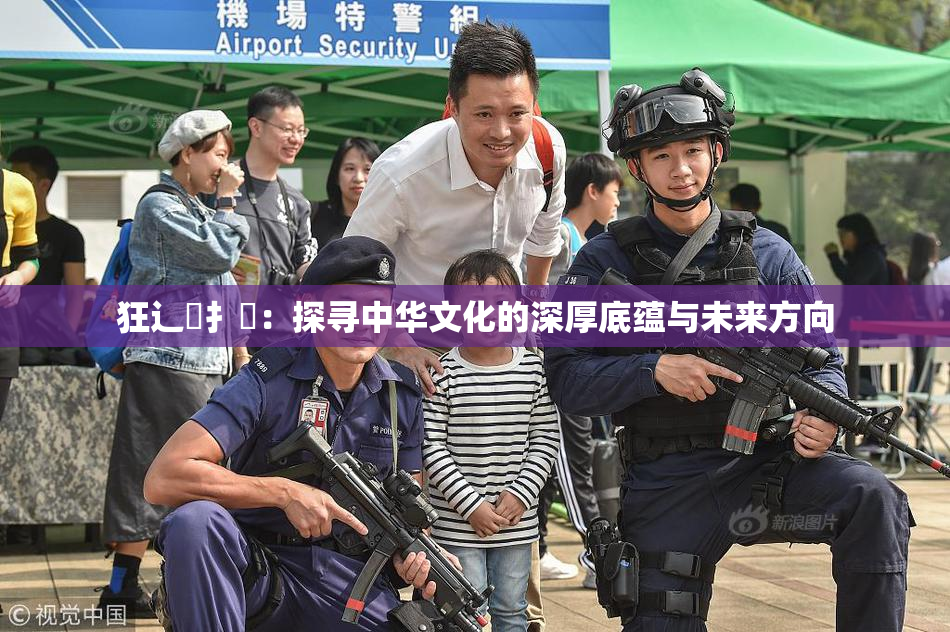 狂辶喿扌畐：探寻中华文化的深厚底蕴与未来方向