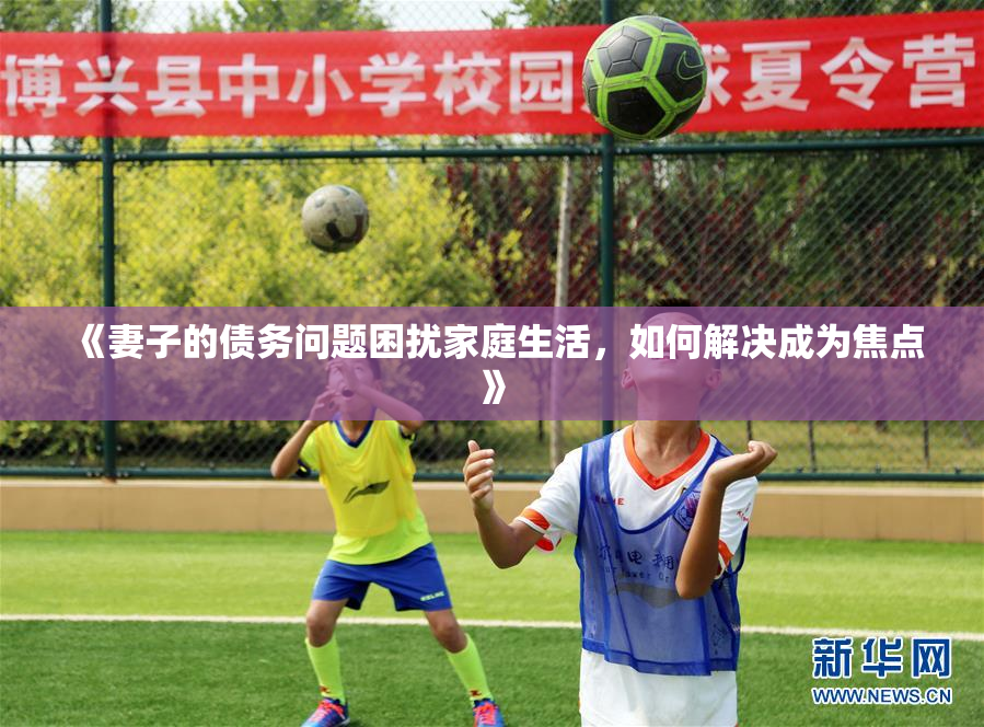 《妻子的债务问题困扰家庭生活，如何解决成为焦点》