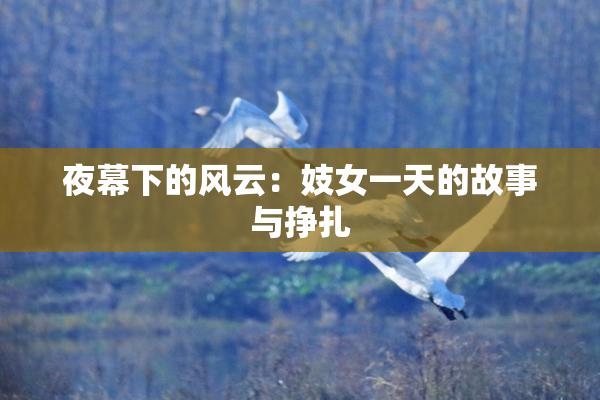 夜幕下的风云：妓女一天的故事与挣扎