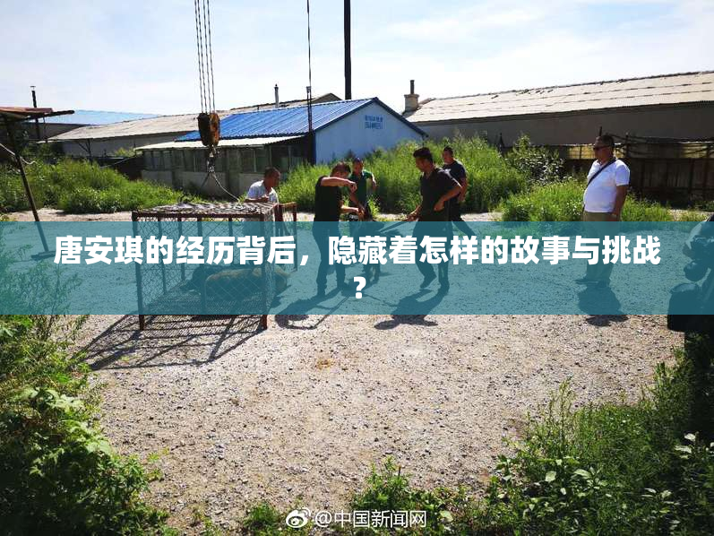唐安琪的经历背后，隐藏着怎样的故事与挑战？