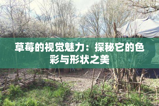 草莓的视觉魅力：探秘它的色彩与形状之美