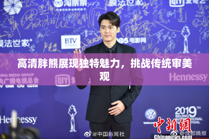 高清胖熊展现独特魅力，挑战传统审美观