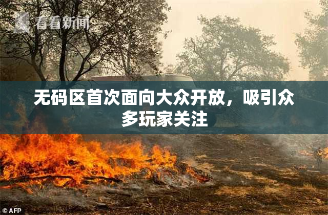 无码区首次面向大众开放，吸引众多玩家关注