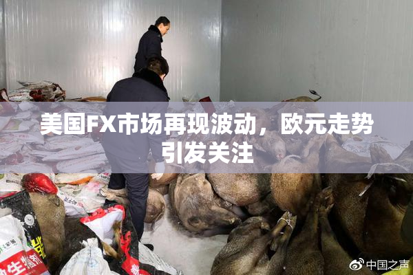 美国FX市场再现波动，欧元走势引发关注