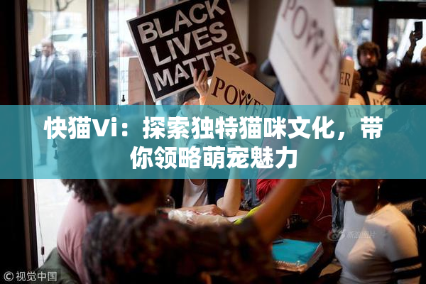 快猫Vi：探索独特猫咪文化，带你领略萌宠魅力
