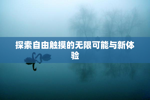 探索自由触摸的无限可能与新体验