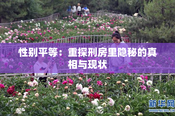 性别平等：重探刑房里隐秘的真相与现状