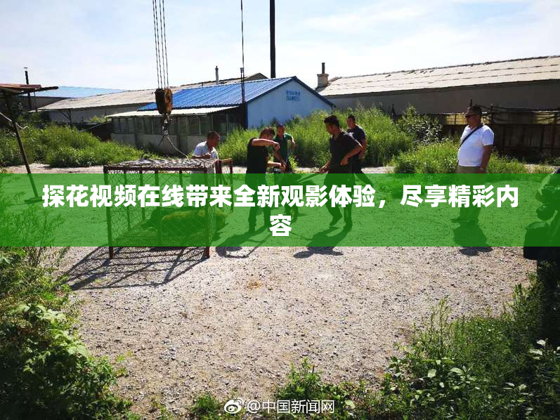 探花视频在线带来全新观影体验，尽享精彩内容