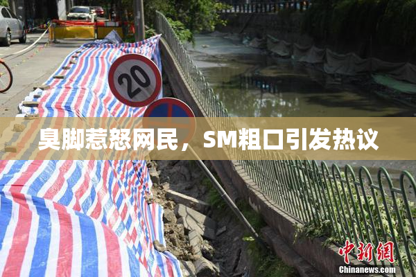 臭脚惹怒网民，SM粗口引发热议