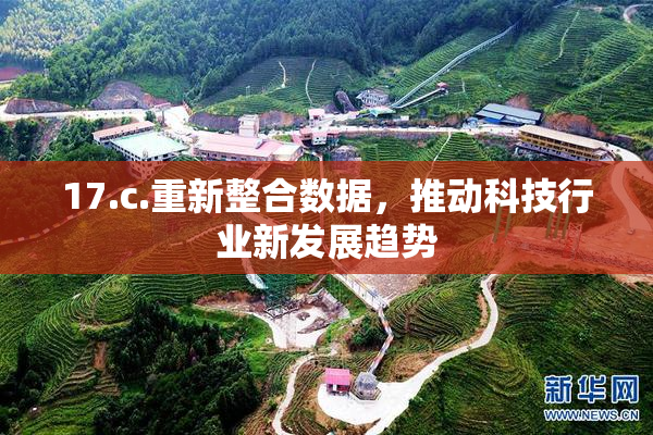 17.c.重新整合数据，推动科技行业新发展趋势