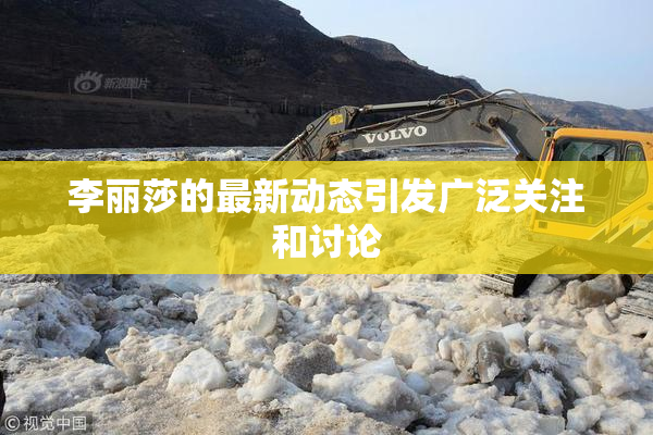 李丽莎的最新动态引发广泛关注和讨论