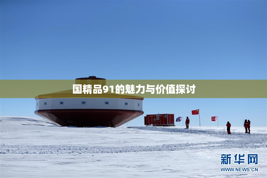 国精品91的魅力与价值探讨