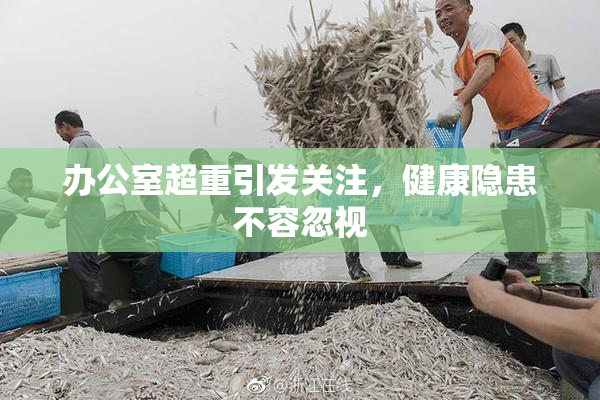 办公室超重引发关注，健康隐患不容忽视