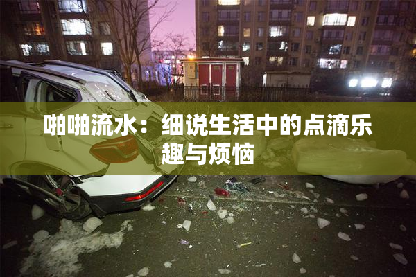 啪啪流水：细说生活中的点滴乐趣与烦恼