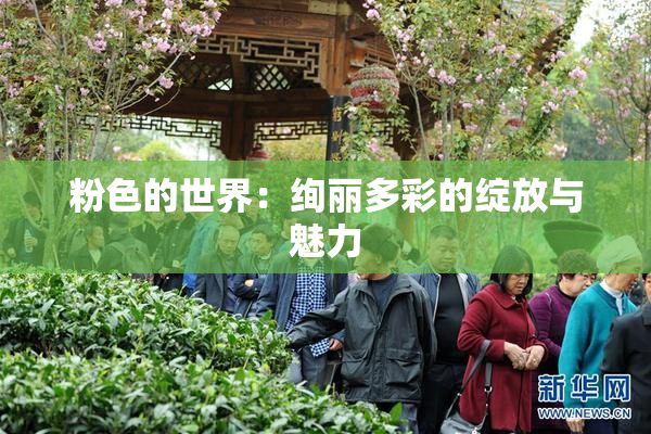 粉色的世界：绚丽多彩的绽放与魅力