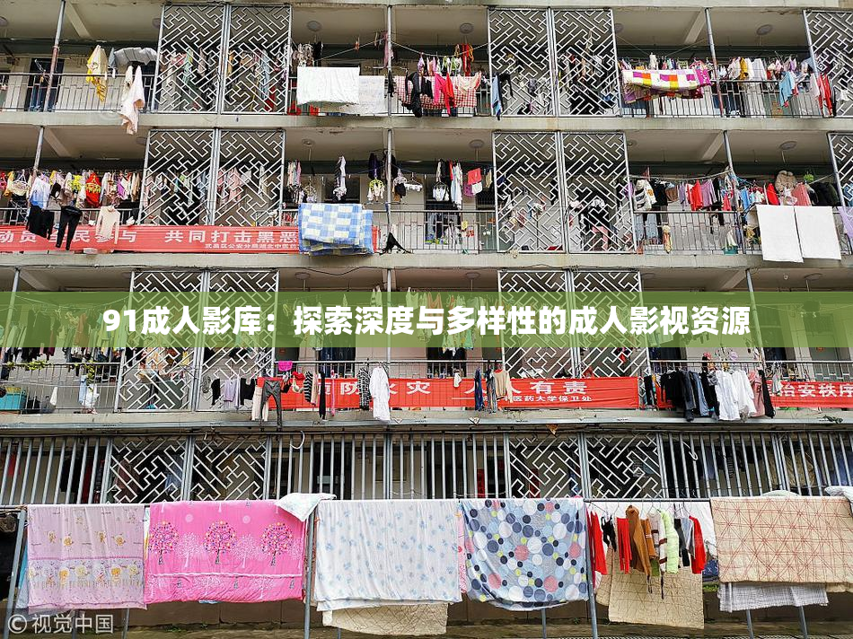 91成人影库：探索深度与多样性的成人影视资源