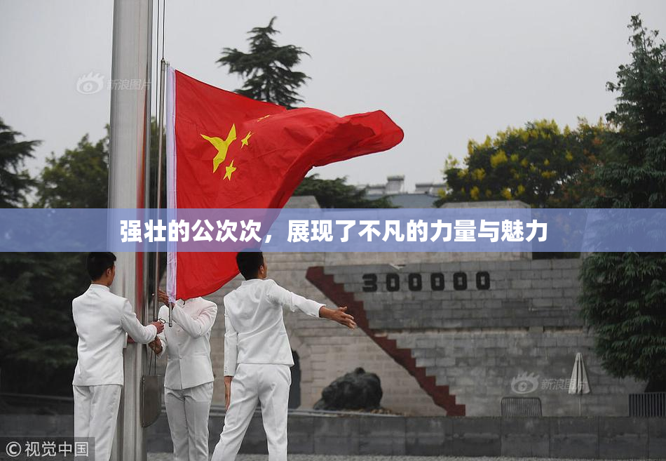 强壮的公次次，展现了不凡的力量与魅力
