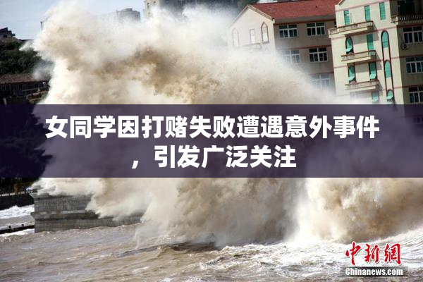 女同学因打赌失败遭遇意外事件，引发广泛关注