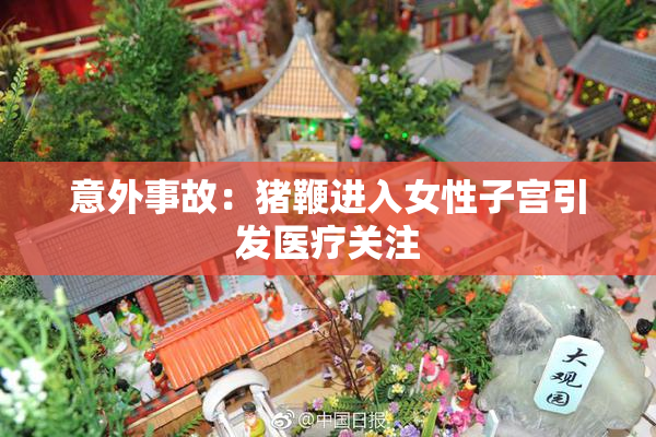 意外事故：猪鞭进入女性子宫引发医疗关注
