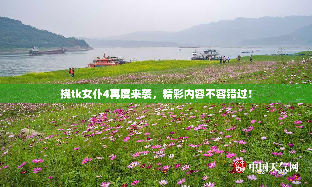 挠tk女仆4再度来袭，精彩内容不容错过！