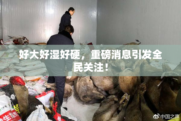 好大好湿好硬，重磅消息引发全民关注！