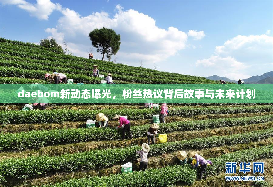 daebom新动态曝光，粉丝热议背后故事与未来计划