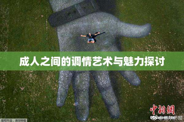 成人之间的调情艺术与魅力探讨