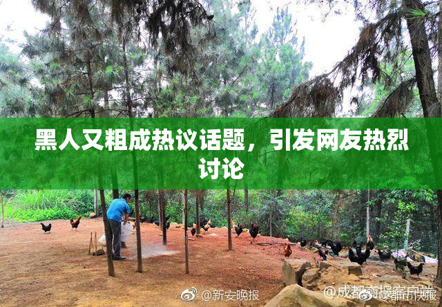黑人又粗成热议话题，引发网友热烈讨论
