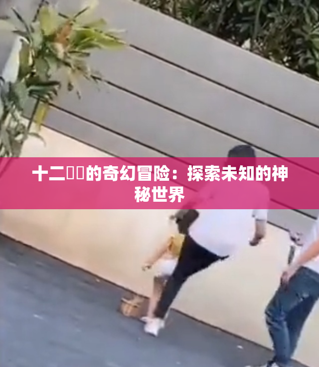 十二妺妺的奇幻冒险：探索未知的神秘世界