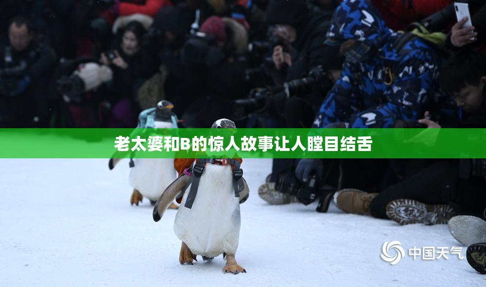老太婆和B的惊人故事让人瞠目结舌
