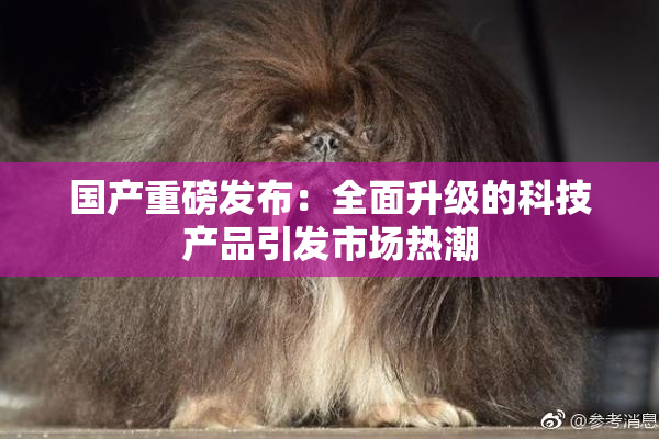 国产重磅发布：全面升级的科技产品引发市场热潮