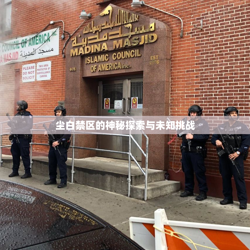 尘白禁区的神秘探索与未知挑战