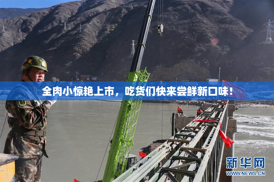 全肉小惊艳上市，吃货们快来尝鲜新口味！