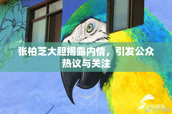 张柏芝大胆揭露内情，引发公众热议与关注
