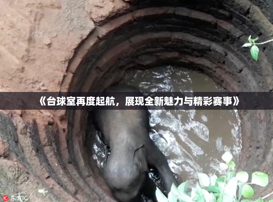 《台球室再度起航，展现全新魅力与精彩赛事》