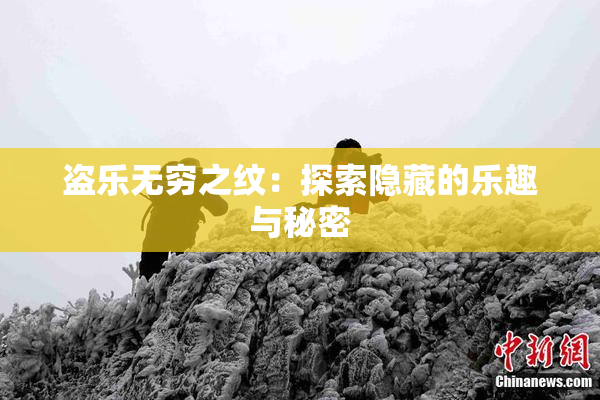 盗乐无穷之纹：探索隐藏的乐趣与秘密