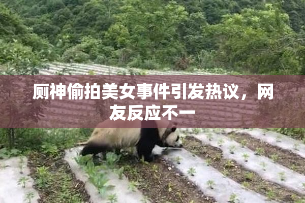 厕神偷拍美女事件引发热议，网友反应不一
