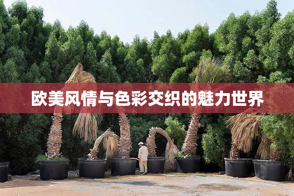 欧美风情与色彩交织的魅力世界