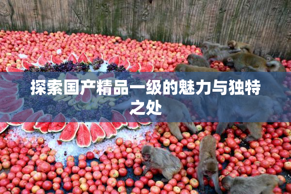 探索国产精品一级的魅力与独特之处